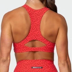 Muscle Nation Ability Bra - Mini Cheetah Print Featured