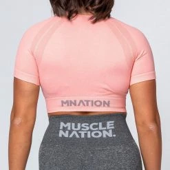 Muscle Nation Classic Seamless Tee - Ballet Pink Marl Womens
